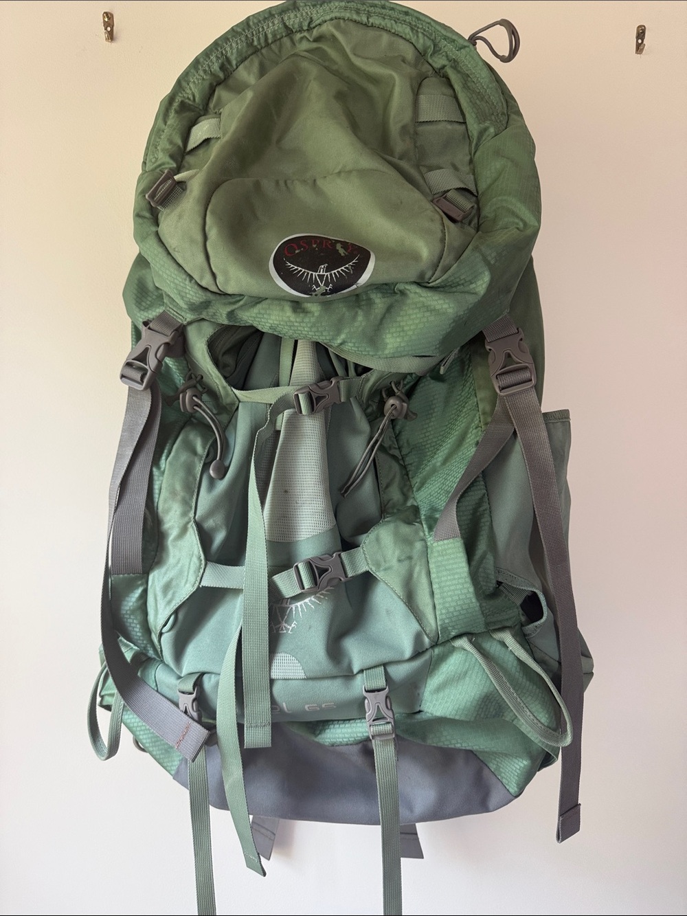 OSPREY Olive Green Men's Hiking Backpack with Gray Accents